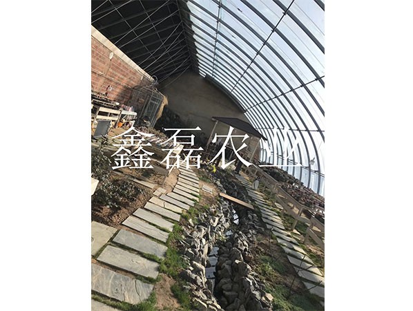 日光溫室